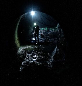 587460977 1678981953430311 3300015793209656841 n